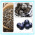 Delicious, Decadent and Healthy Dessert: Acai Chia Truffles (No Bake Recipe)