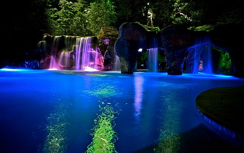 How to have the most amazing backyard in the street