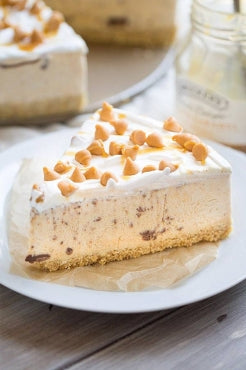 Nutella Swirl Pumpkin Ice Cream Pie