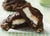 Chocolate Pecan Marshmallow Cookies