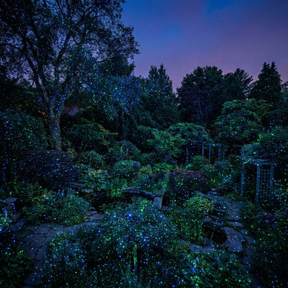 Wide panoramic view of laser dots scattered across an entire premium Australian garden at twilight