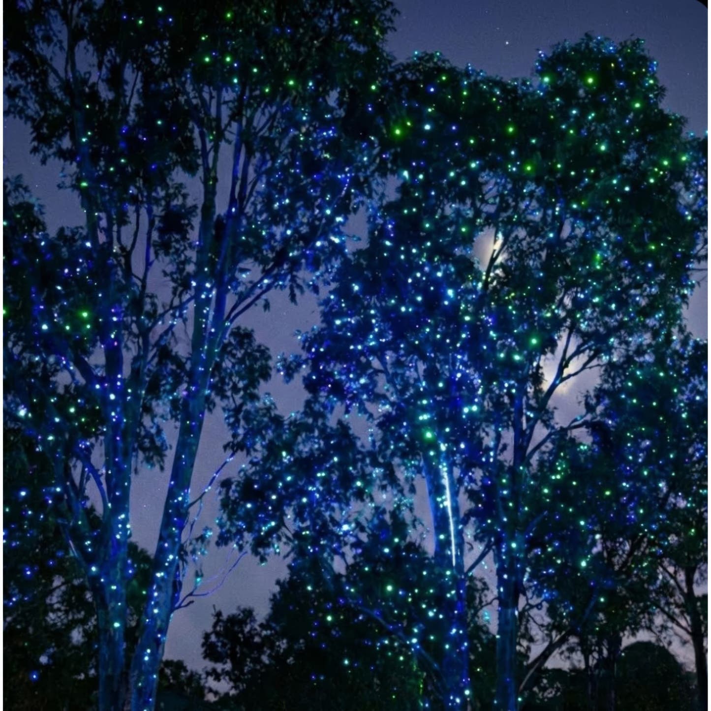 HighBright™ Professional Garden Laser Light — Blue & Green - image 5