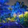 HighBright™ Professional Garden Laser Light — Blue & Green - image 1