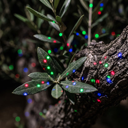 Close-up of individual red, green and blue laser points on leaves and bark