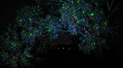 A tree canopy in an Australian backyard buried in thousands of red, green and blue laser dots at night
