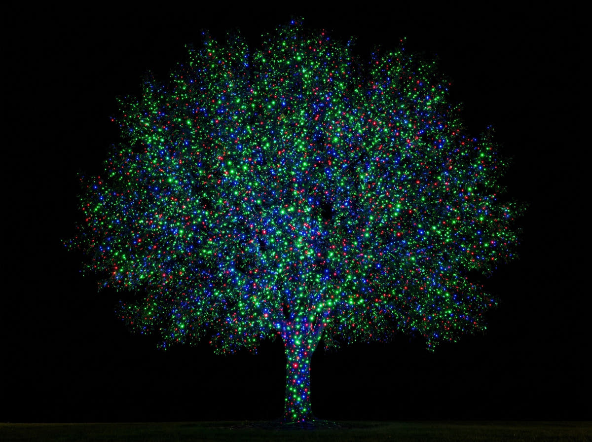 All three colours - a whole tree densely covered in red, green and blue laser dots