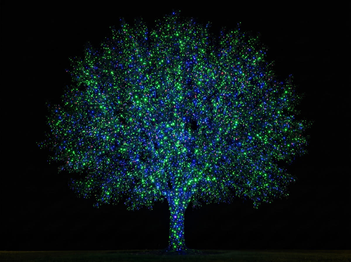 Green and blue mode - the same tree in green and blue laser dots