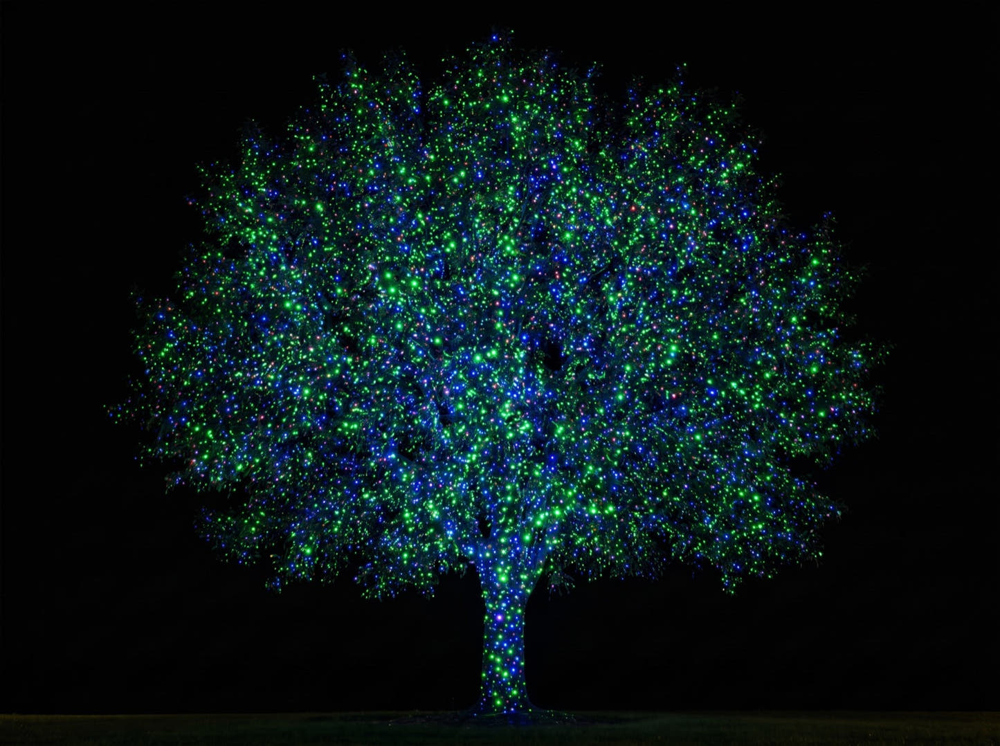 Green and blue mode - the same tree in green and blue laser dots