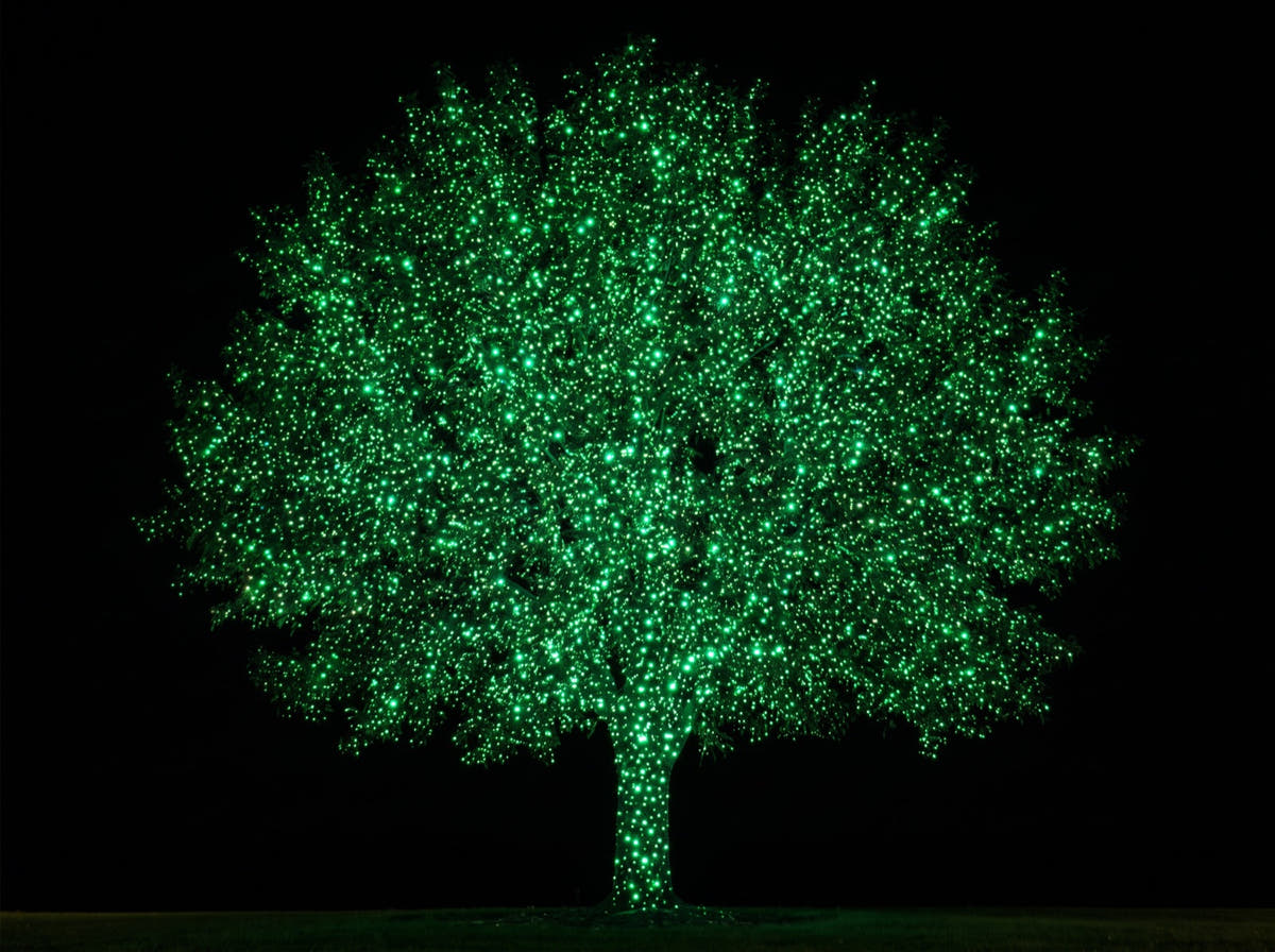Green only mode - the same tree in emerald green laser dots