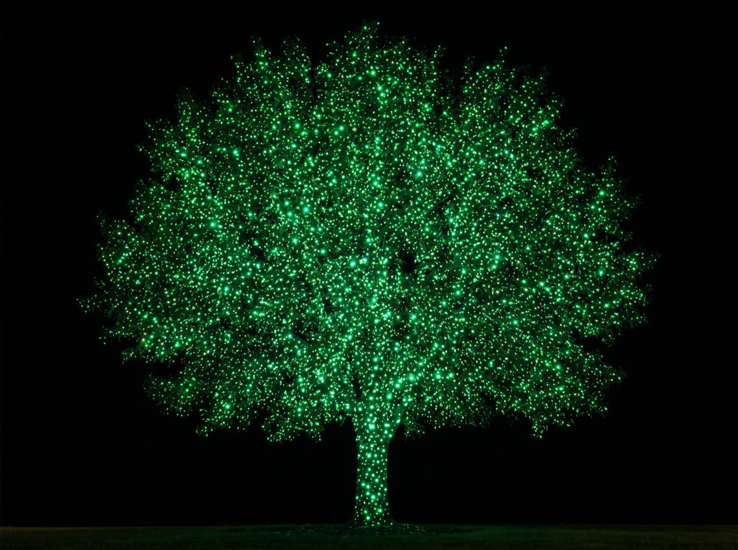 Green only mode - the same tree in emerald green laser dots