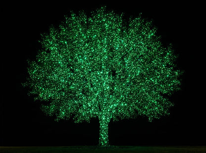 Green only mode - the same tree in emerald green laser dots