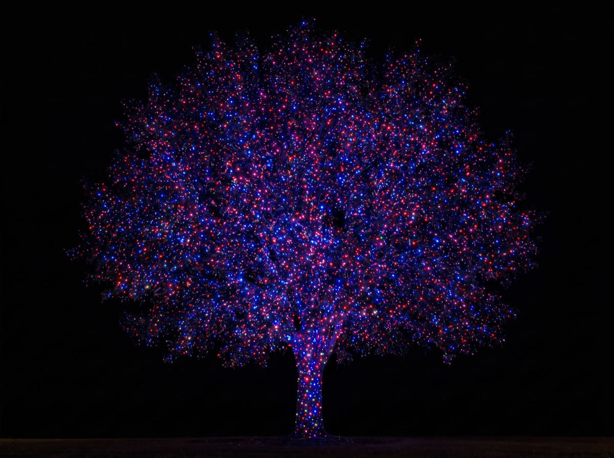 Red and blue mode - the same tree in red and blue laser dots
