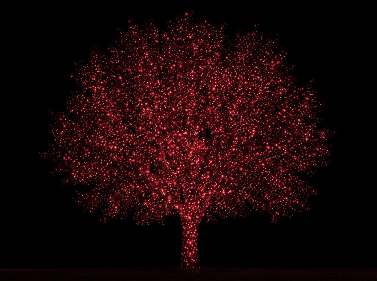 Red only mode - the same tree in ruby red laser dots
