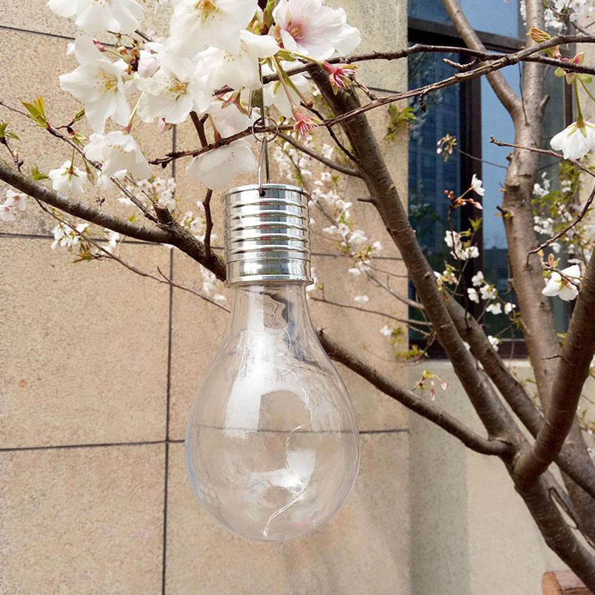Solar light bulb hanging among cherry blossom branches