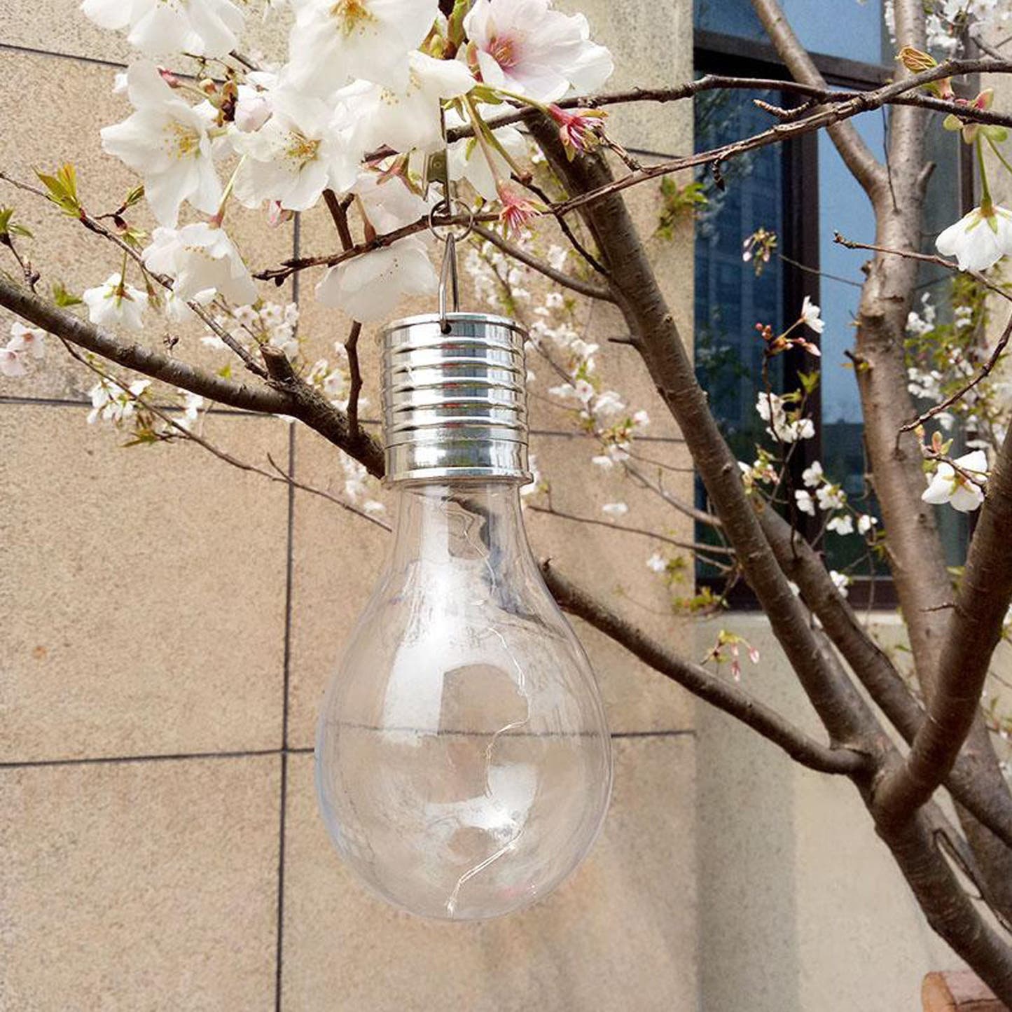 Solar light bulb hanging among cherry blossom branches