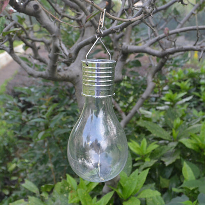 Clear solar light bulb hanging from a green garden tree branch in daylight