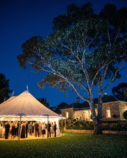 White Star Crystal Laser at an estate wedding — marquee and gum tree covered in white star points