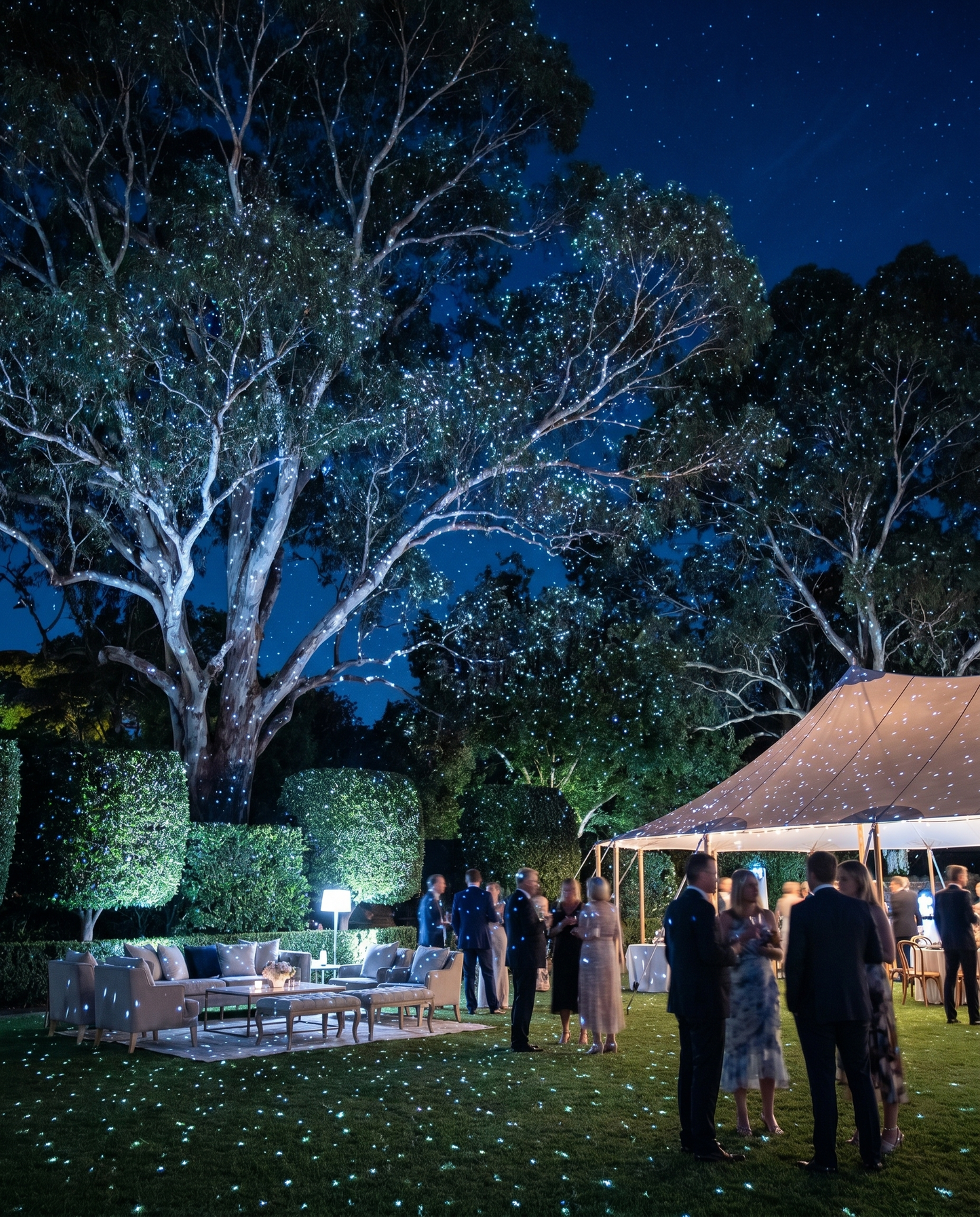 Giant gum trees covered in white laser star points above an evening garden party