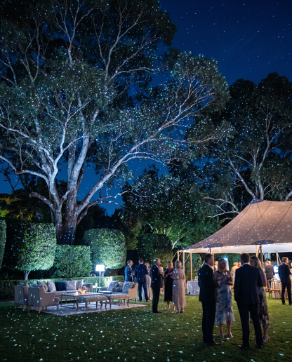 Giant gum trees covered in white laser star points above an evening garden party
