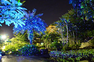 Garden Landscape waterproof laser light