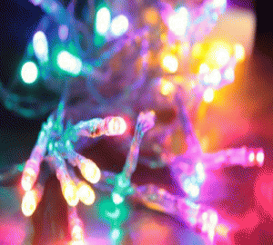 40 Bulb Multicoloured String Light
