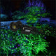 Garden Landscape waterproof laser light