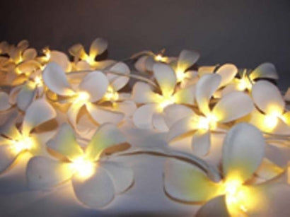 White Frangipani Style - fairy lights — view 1