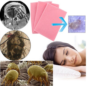 Dust Mite Protector Pad