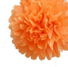 Tissue Paper Pom Pom (38cm)