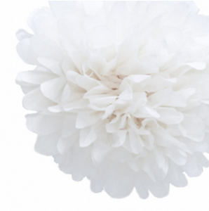 Tissue Paper Pom Pom (38cm)